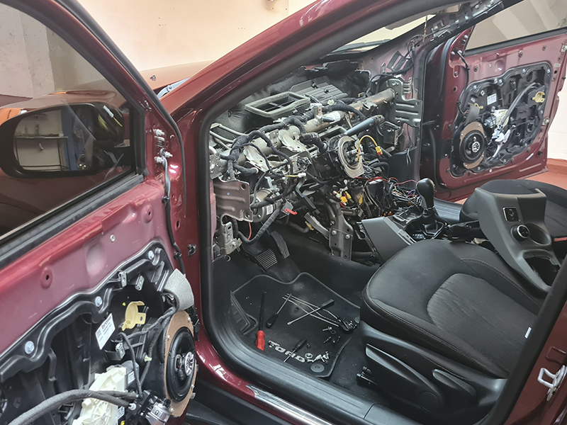 tira grilos,eliminacao de ruidos,carros,automoveis,belo horizonte,bh,papa grilos,como tirar barulho